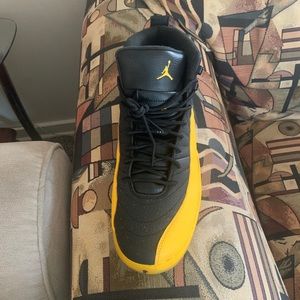 Jordan retro 12